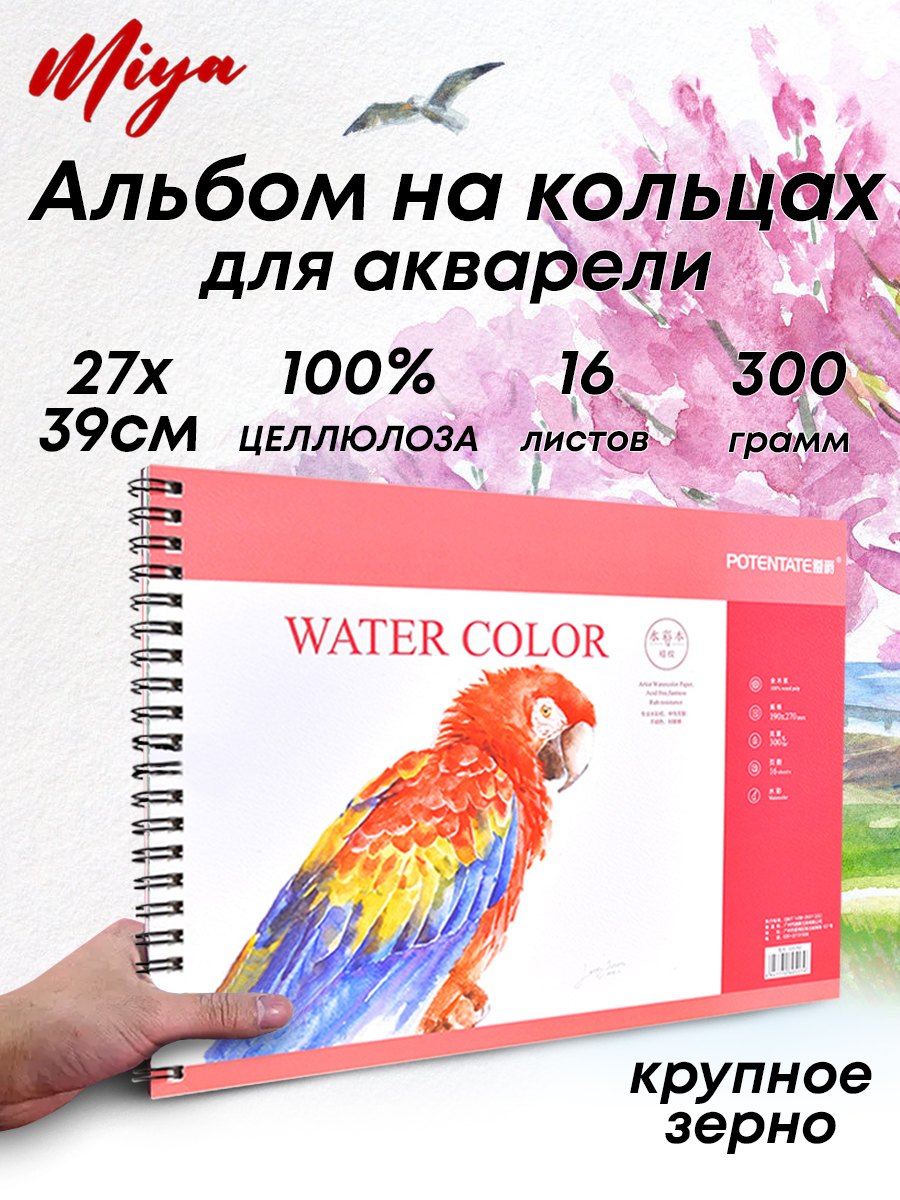 Альбом 100% целлюлоза, на кольцах, крупное зерно 8k