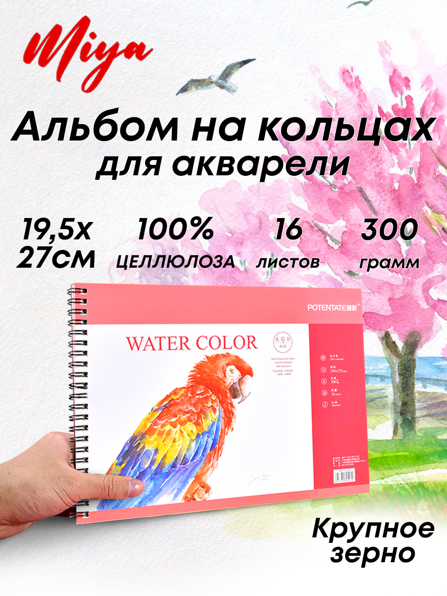 Альбом 100% целлюлоза, на кольцах, крупное зерно 16k
