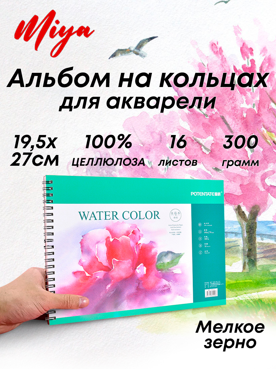 Альбом 100% целлюлоза, на кольцах, мелкое зерно 16k