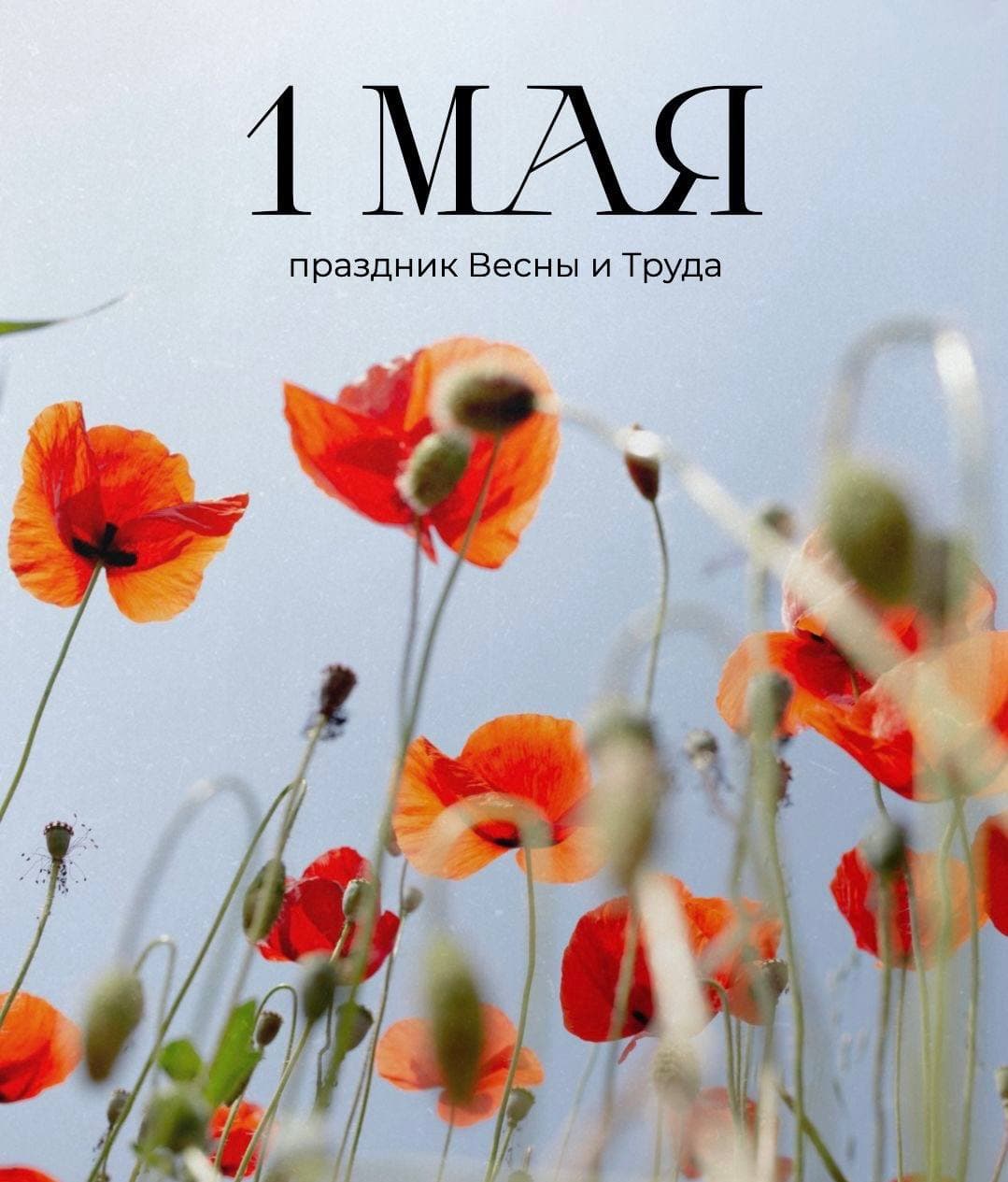 🌱 Поздравляем вас с 1 мая — праздником весны и созидания